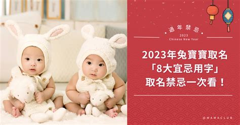 2023兔寶寶命格|兔寶寶爆紅名字